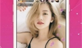 快乐直播91是什么平台,热门直播平台的魅力与特色